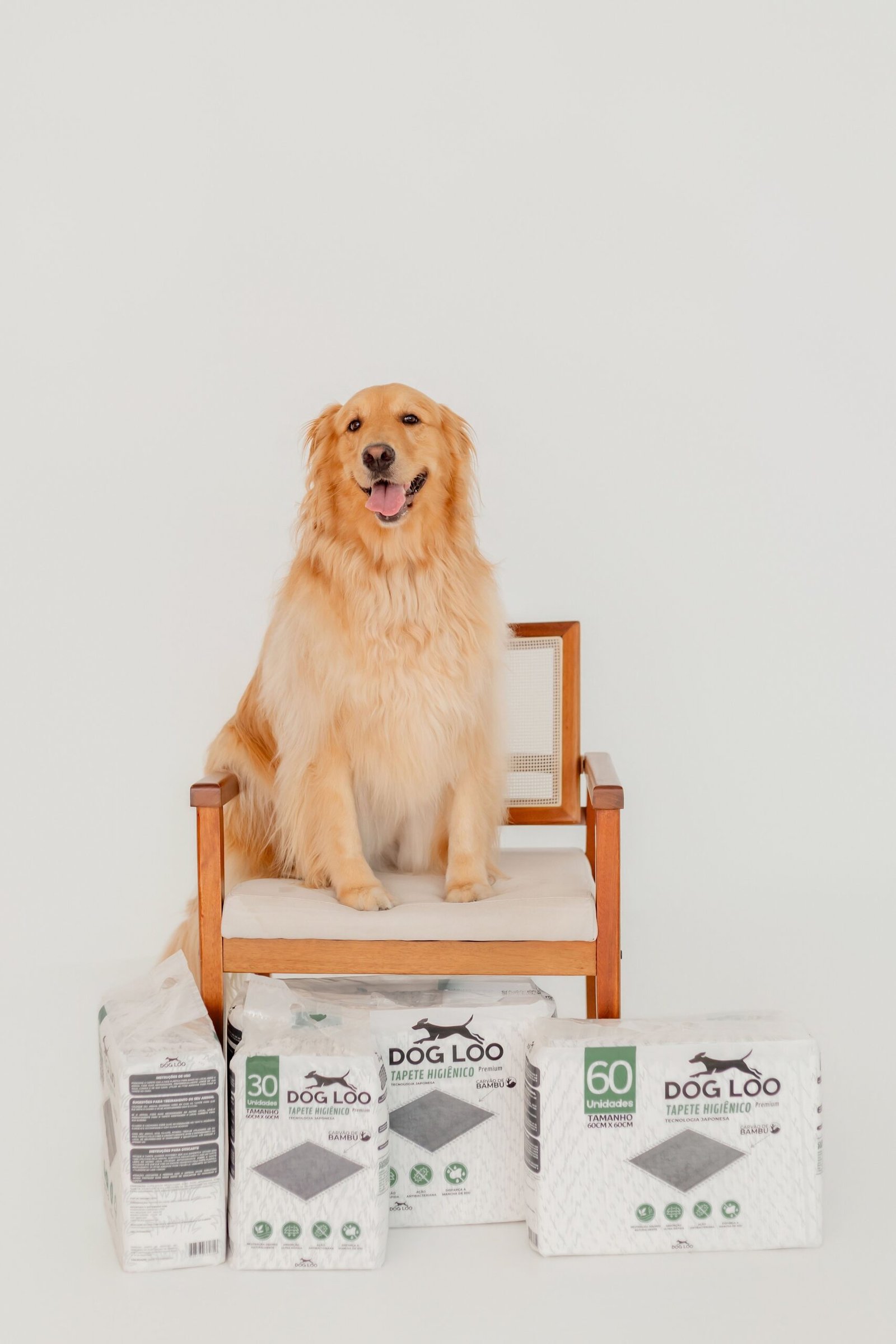 Tapete Higiênico Dog Loo Carvão Ativado 60×90 cm — 60 Unidades - Imagem 2