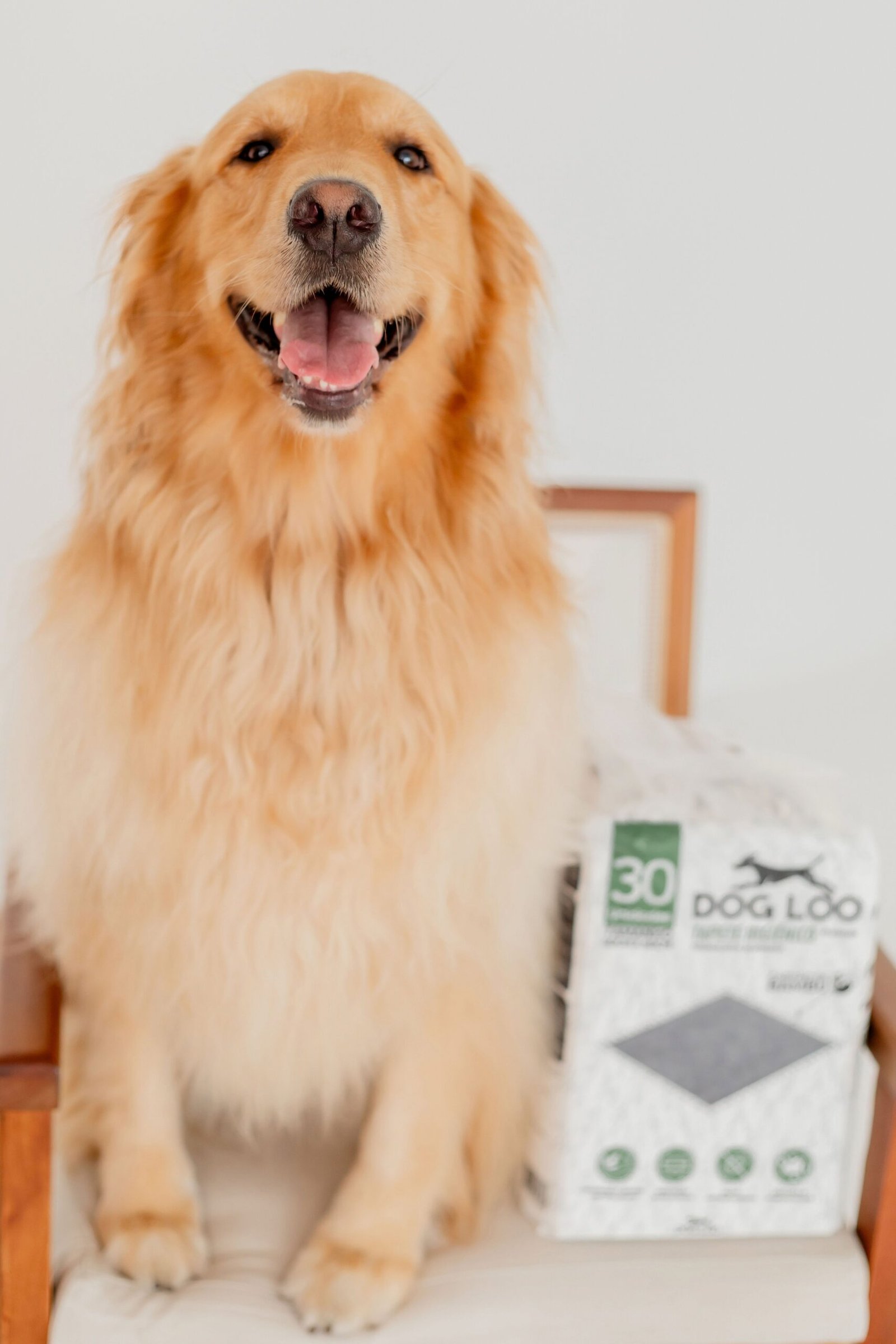 Tapete Higiênico Dog Loo Carvão Ativado 60×90 cm — 60 Unidades - Imagem 8