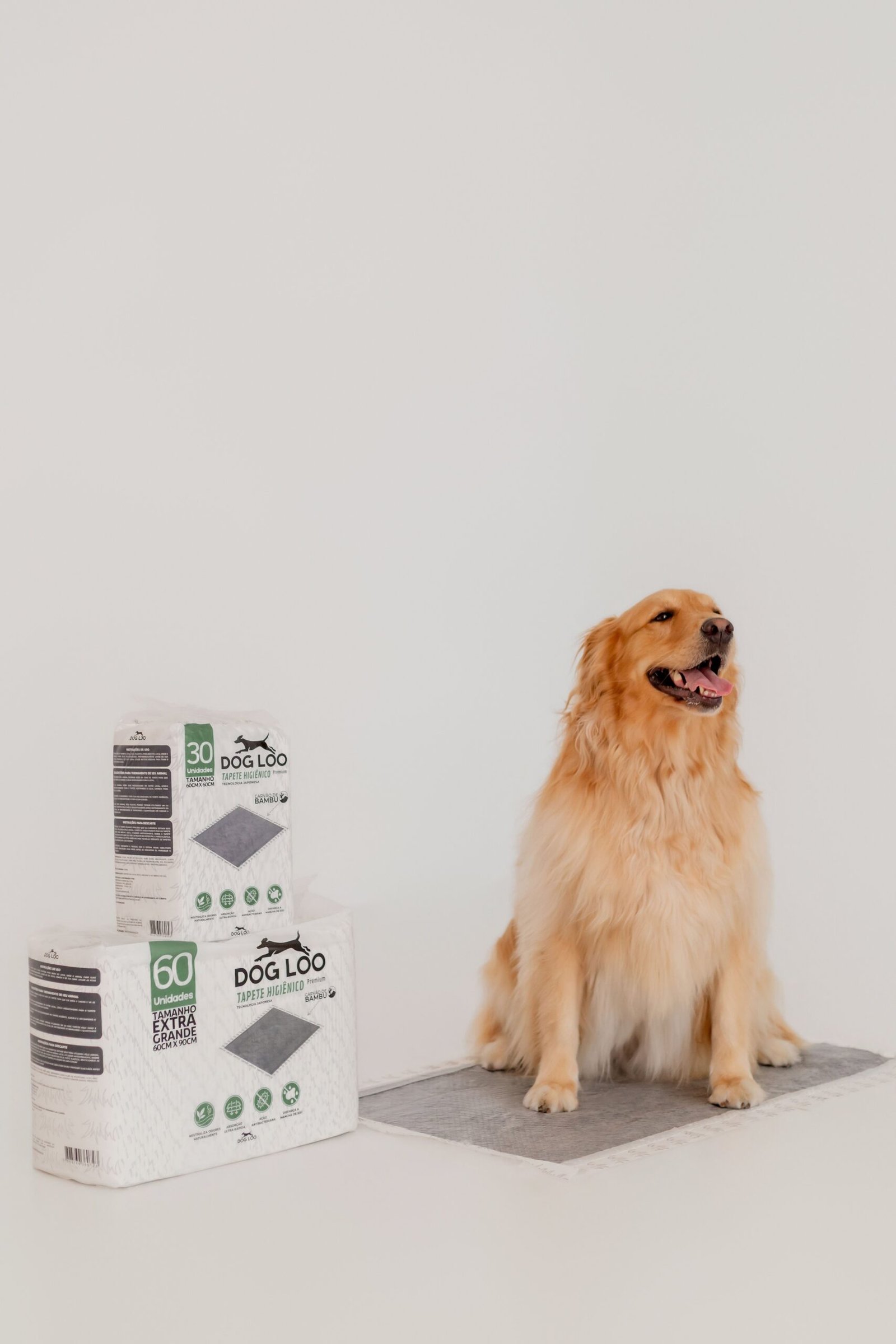 Dog Loo Carvão Ativado 60×60 cm — 30 unidades - Imagem 7