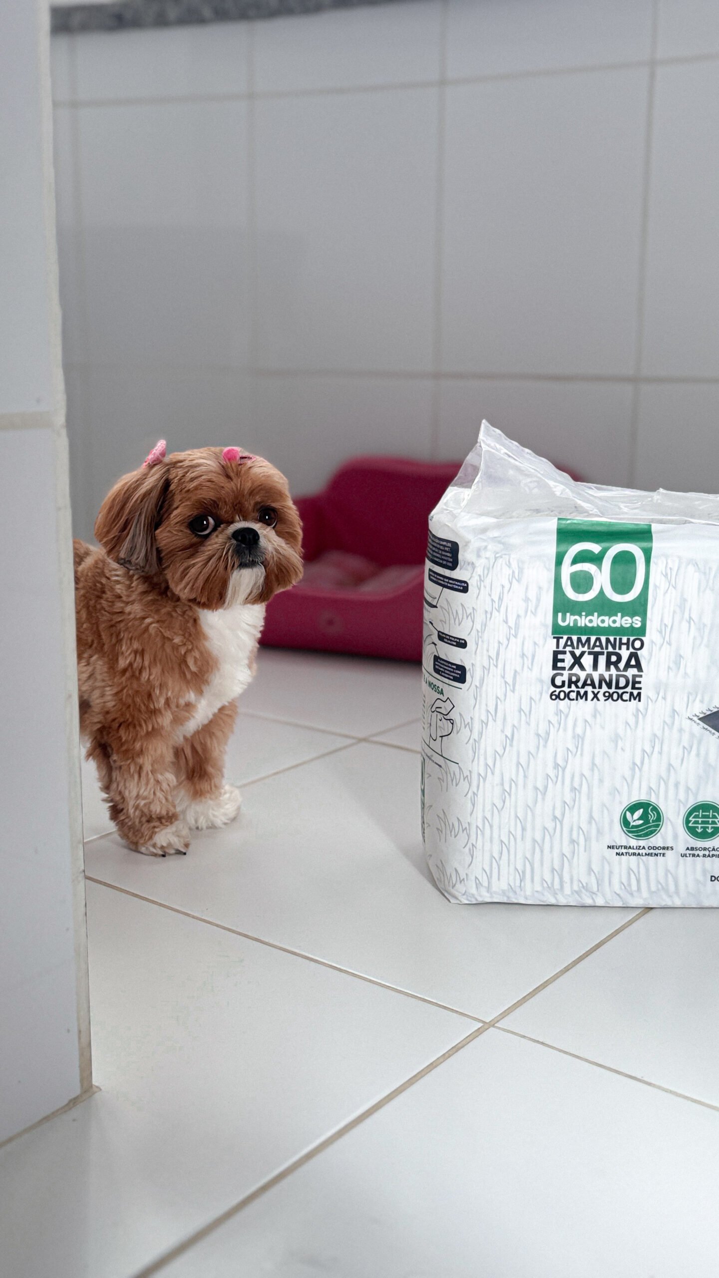 Tapete Higiênico Dog Loo Carvão Ativado 60×60 cm — 60 Unidades - Imagem 11